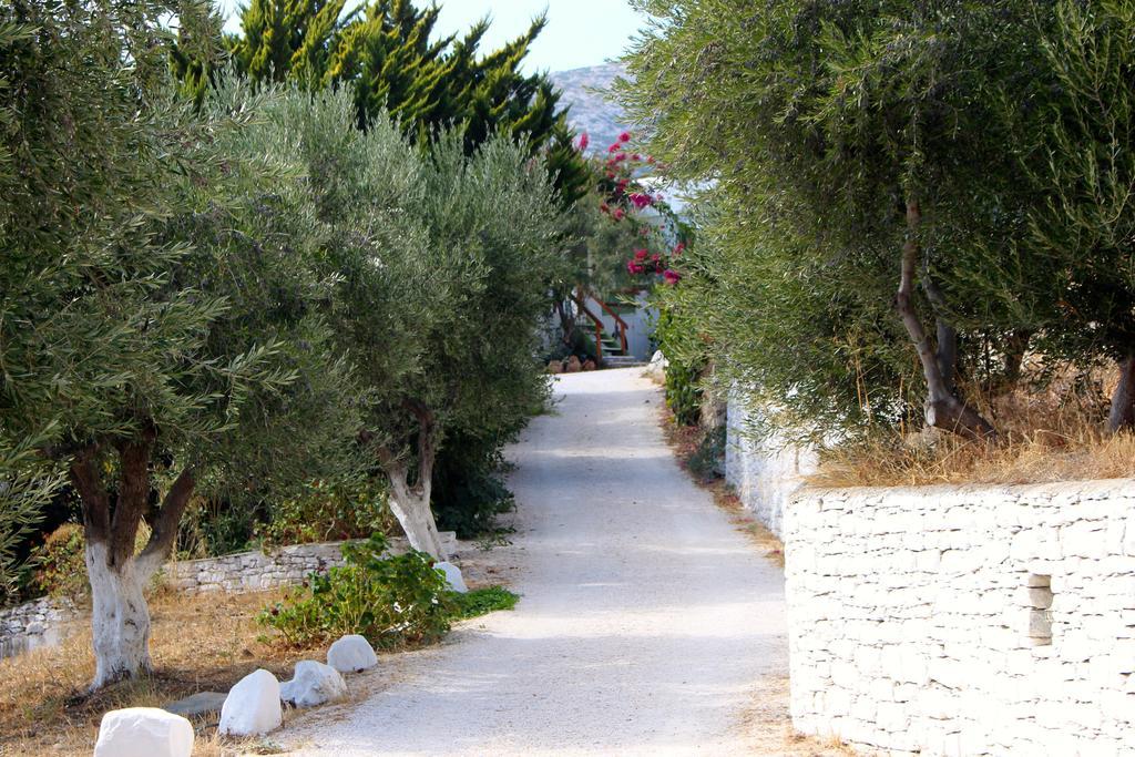 Eleonas Apartments Apollonia  Ruang foto